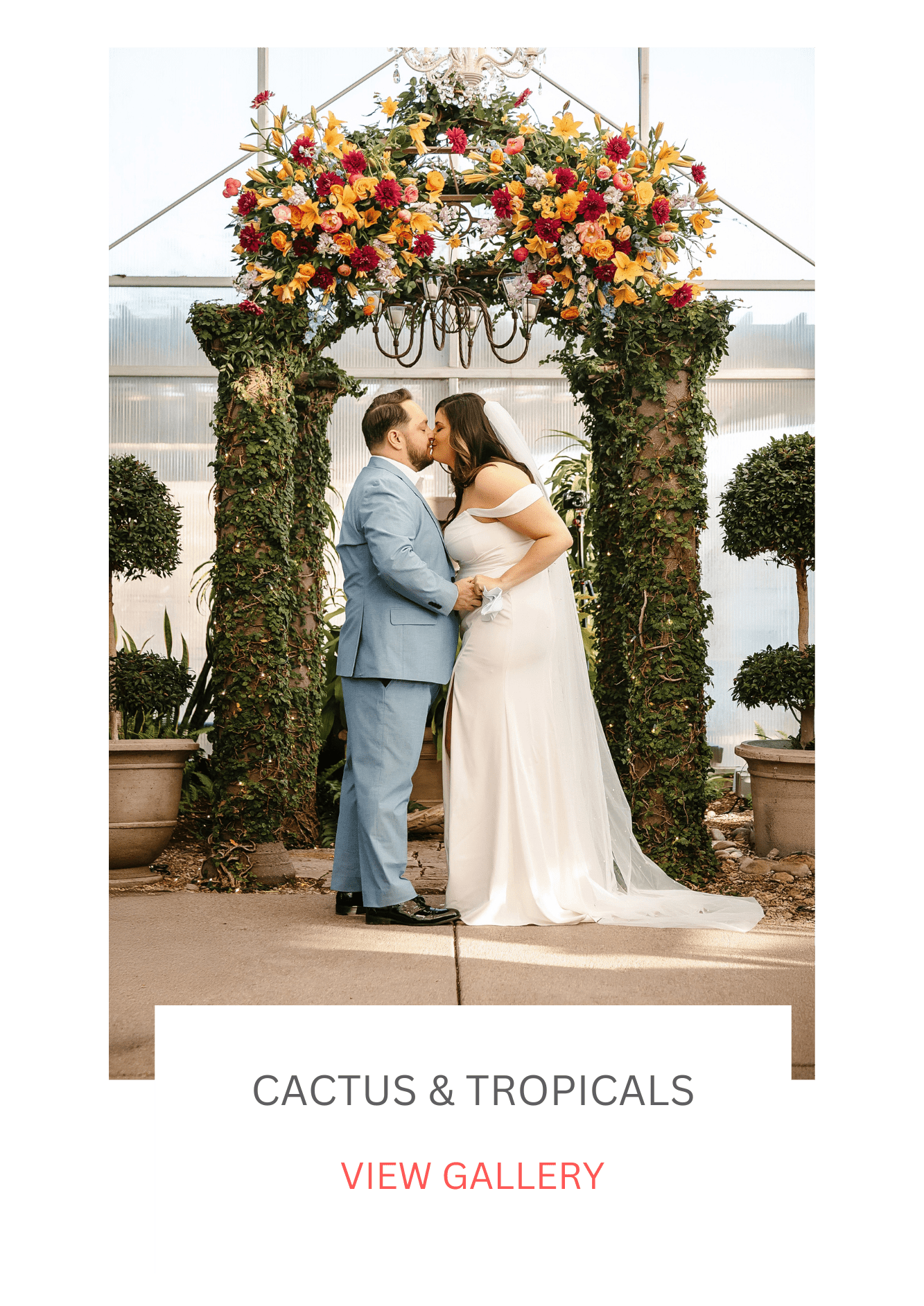CACTUS & TROPICALS